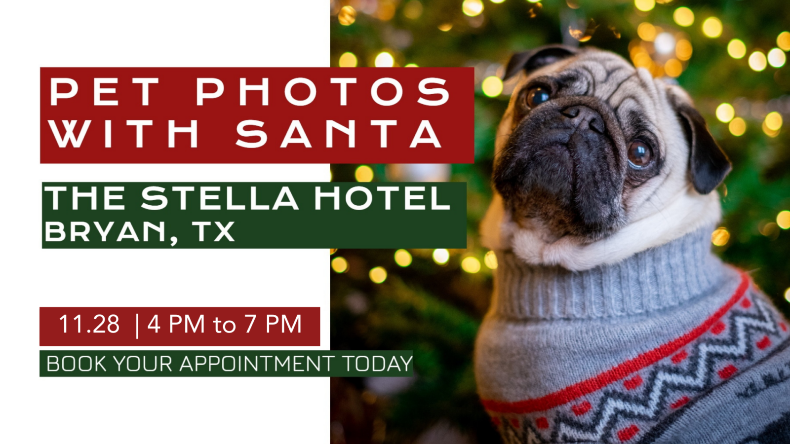 Pet Photos with Santa at The Stella Hotel