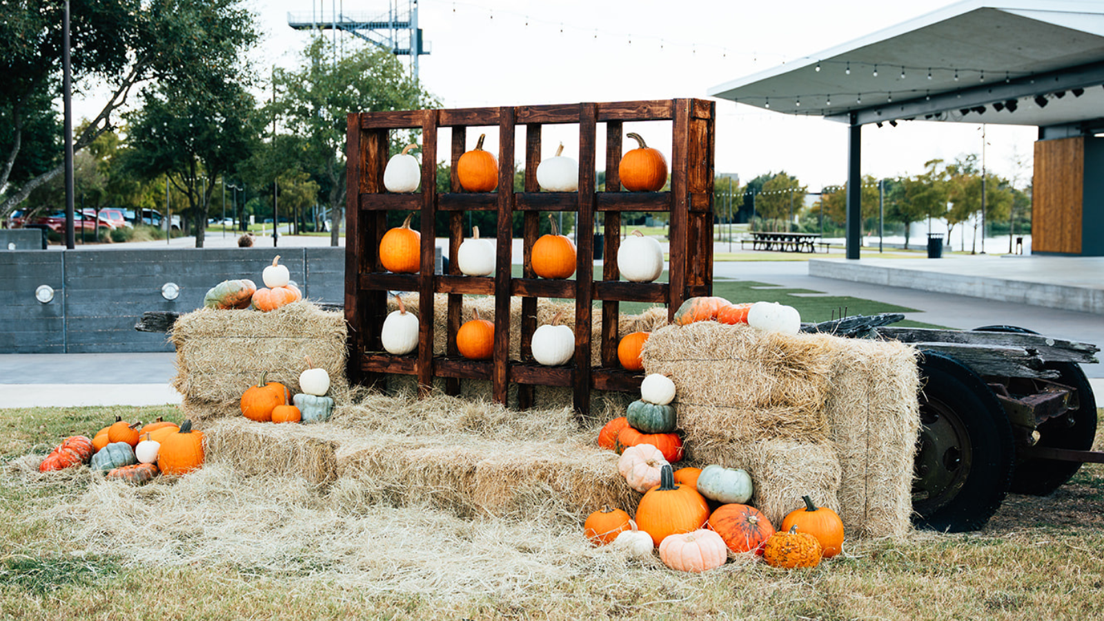 Lake Walk Pumpkin Patch