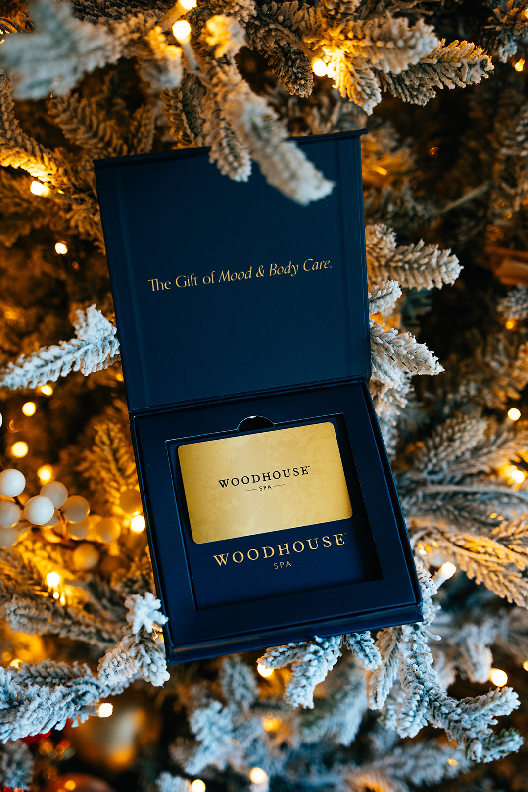 Last Minute Holiday Shopping at Lake Walk